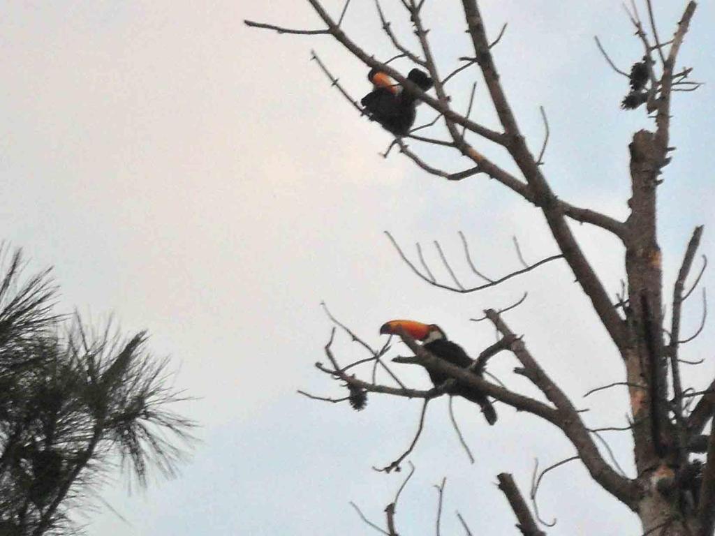 Pousada Casa Da Montanha Petrópolis Екстериор снимка