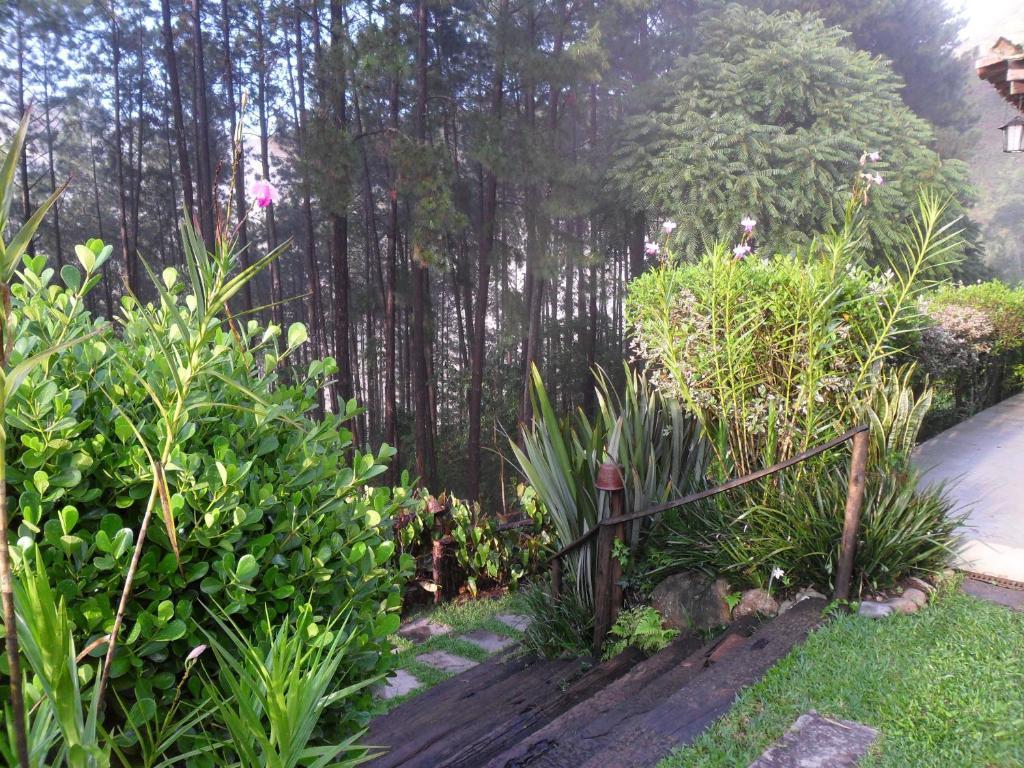Pousada Casa Da Montanha Petrópolis Екстериор снимка